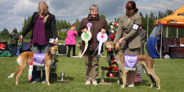 Zarabis Odezia BOS and Supi BIS puppy